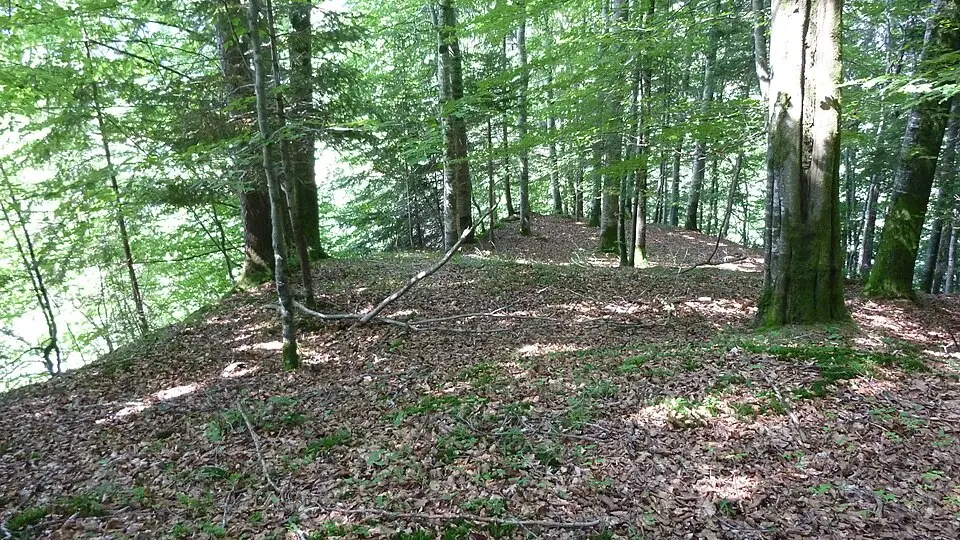 Schweinsberg