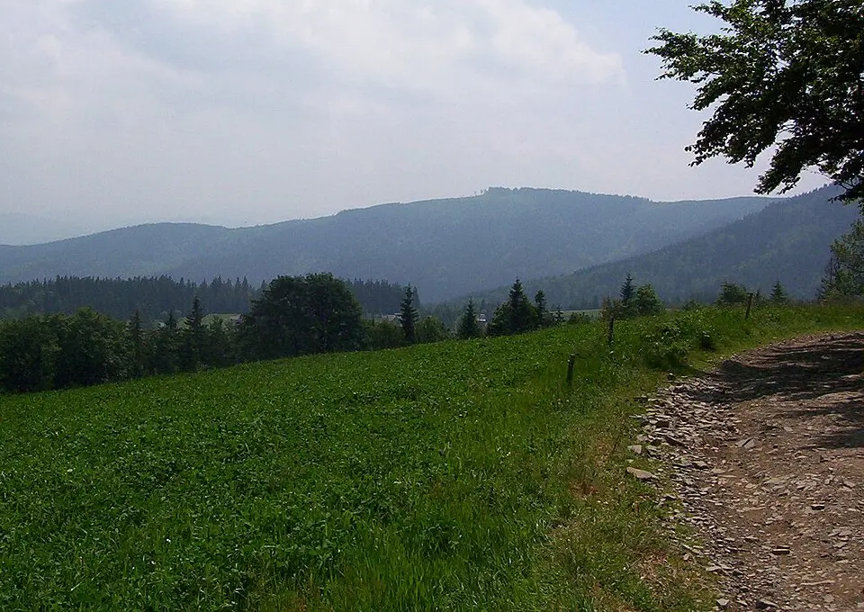 Kyčera