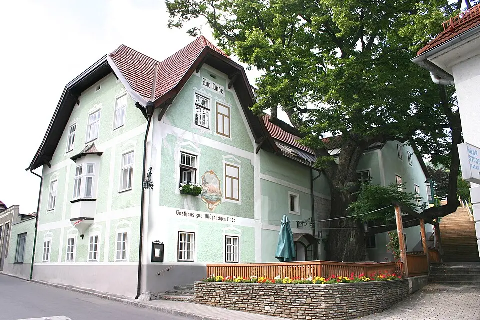 Gasthof/Hotel Zur 1000jährigen Linde (Haupthaus)