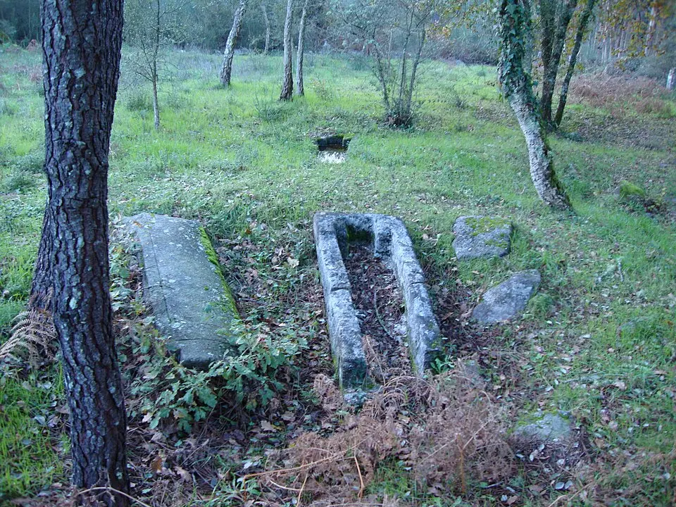 Verdoejo