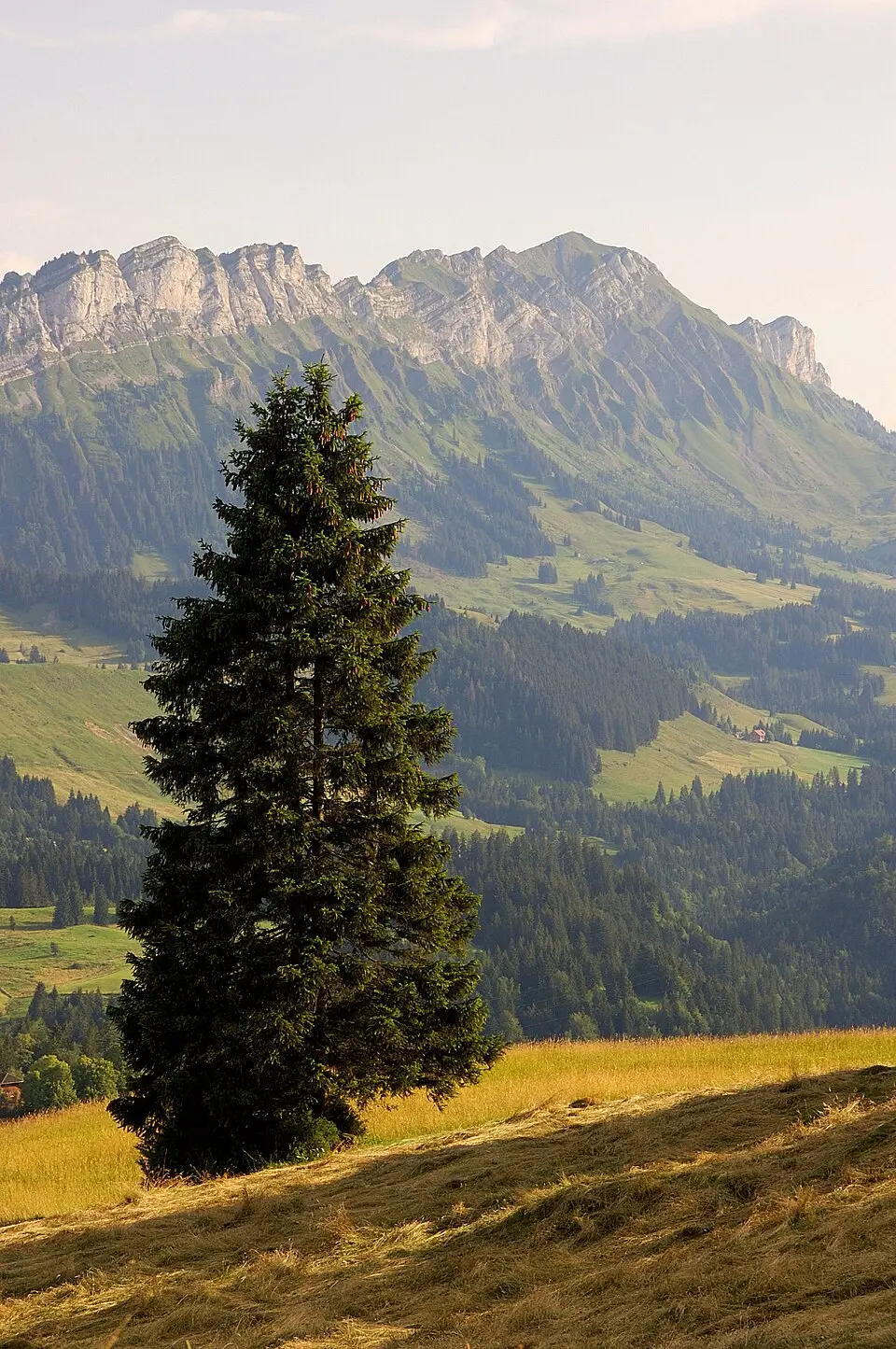 Entlebuch Biosphäre