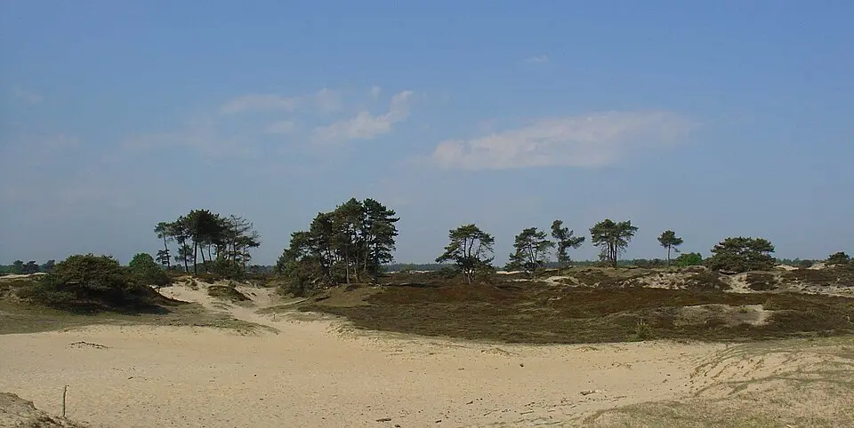 Nationaal Park Drents-Friese Wold