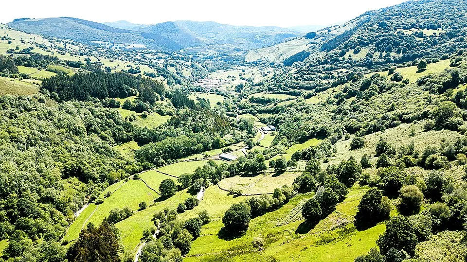 Cieza