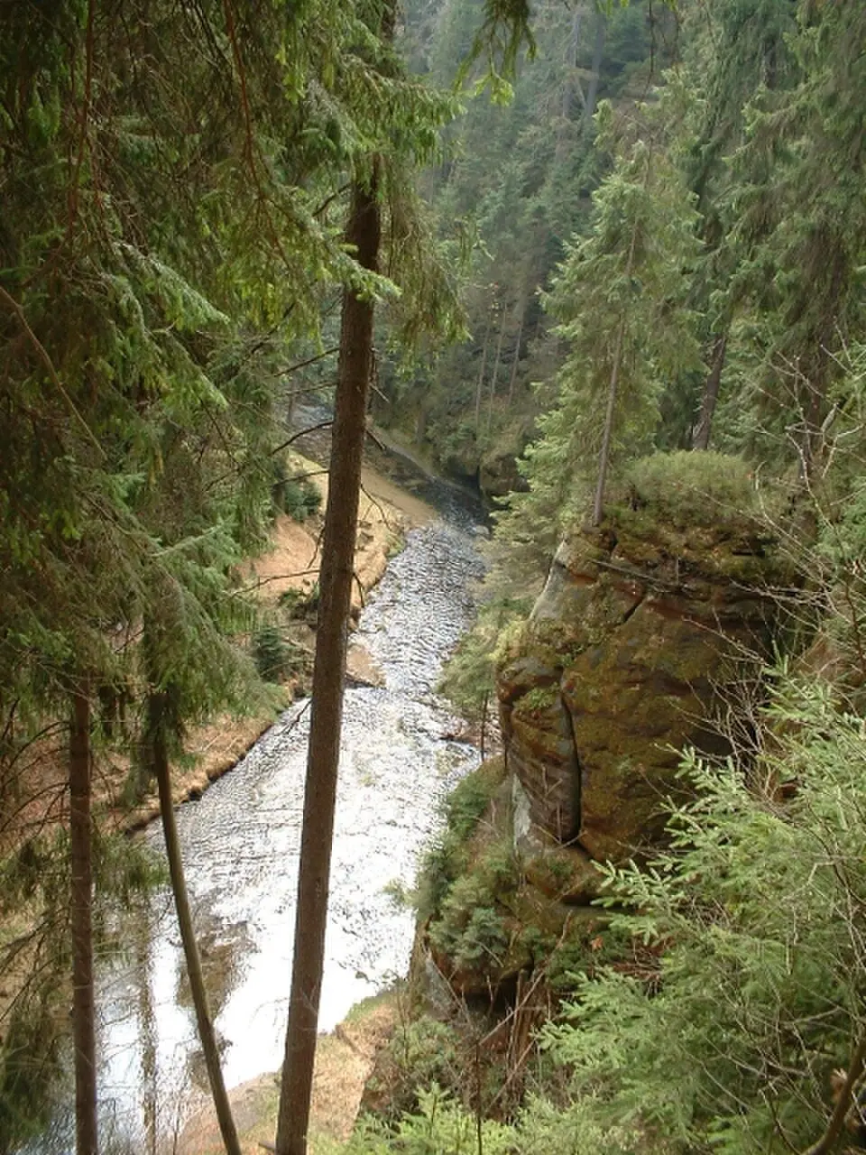 Kirnitzsch