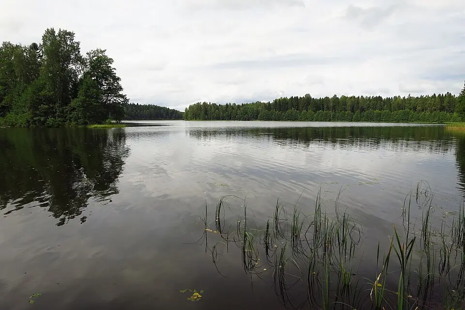 Kisõjärv