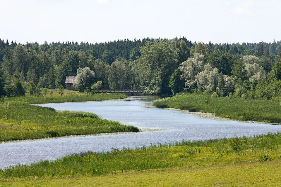 Kiskonjoki