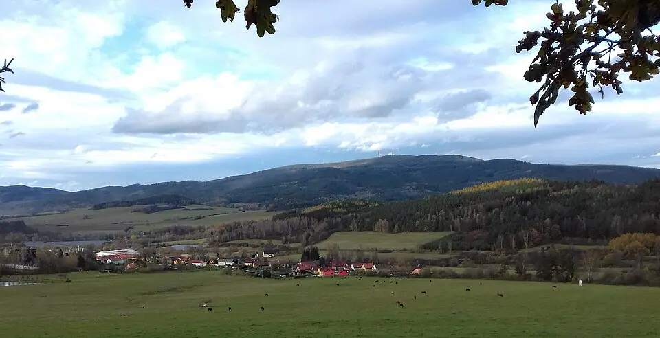 Kladné