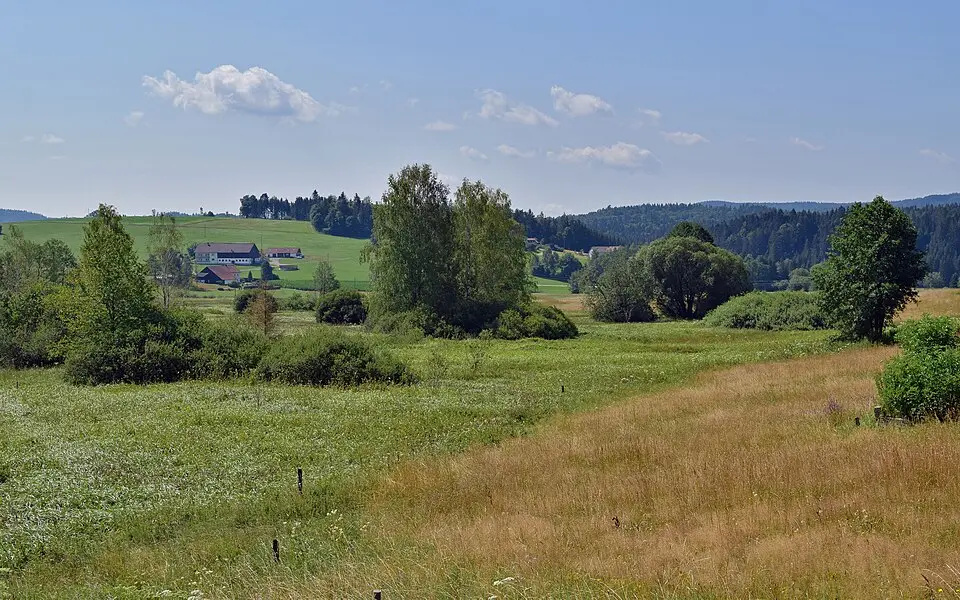 Stadlau
