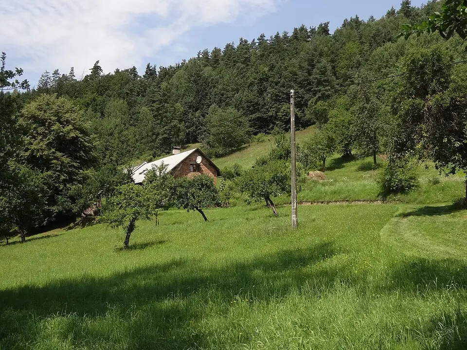 Klamorna