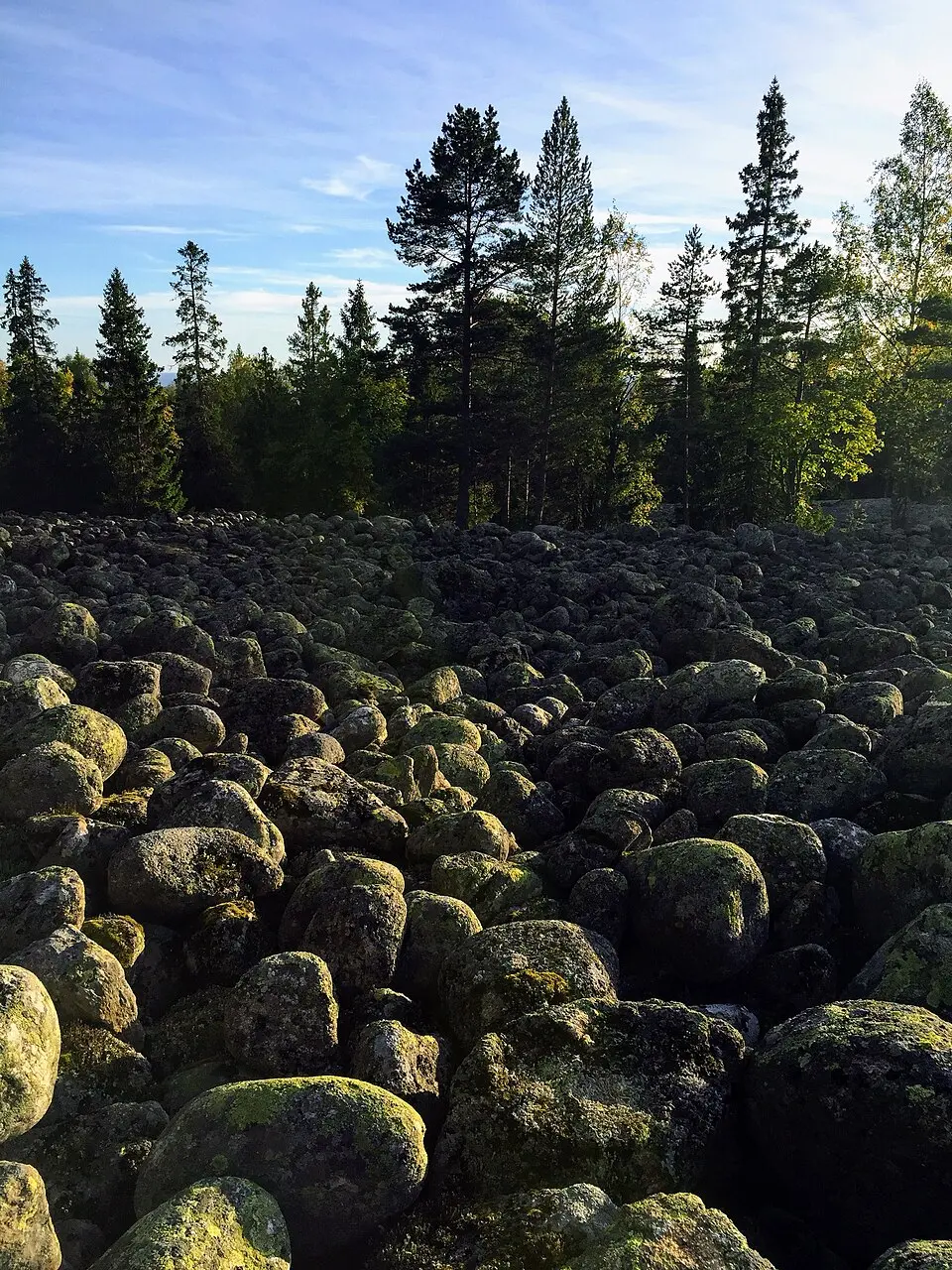Vårdkasmalen