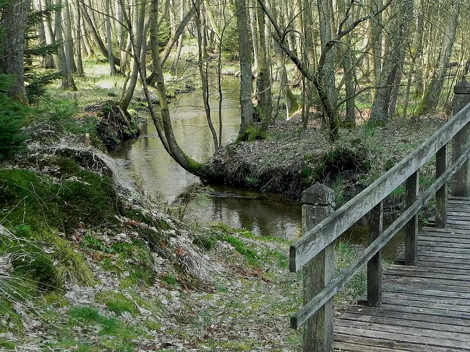 Kleine Örtze