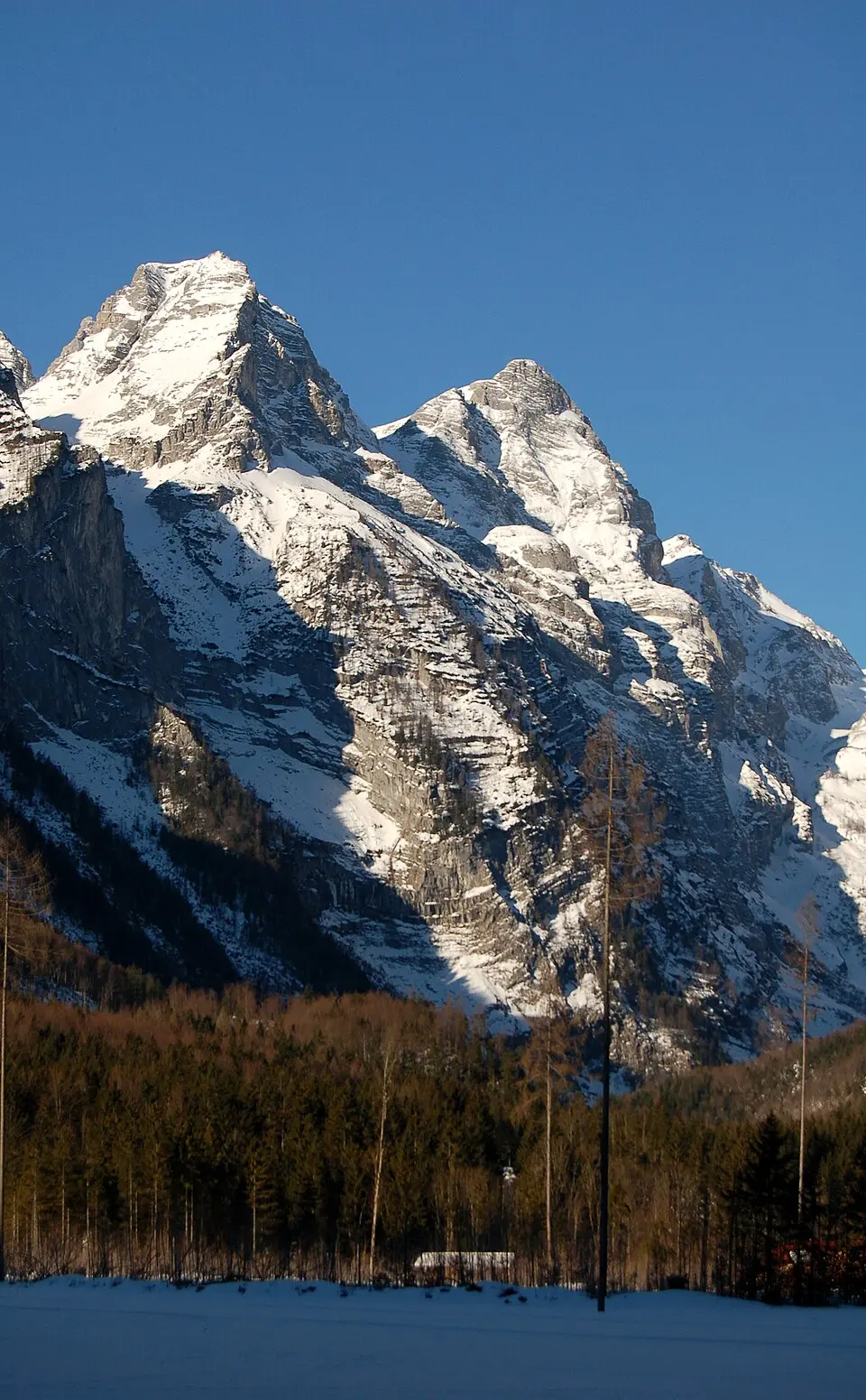 Kleiner Hochkasten