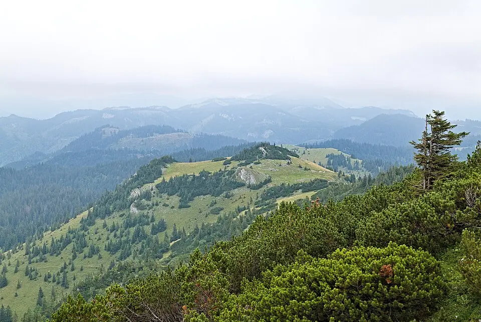 Kleiner Dürrenstein