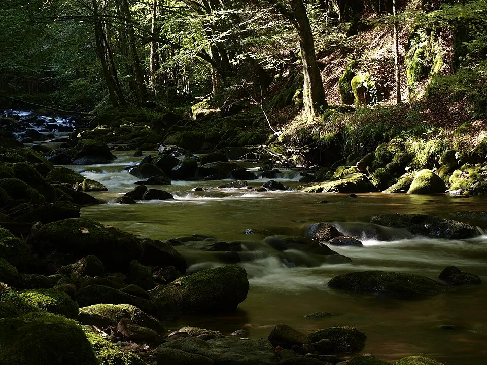 Tal des Kleinen Kößlbaches