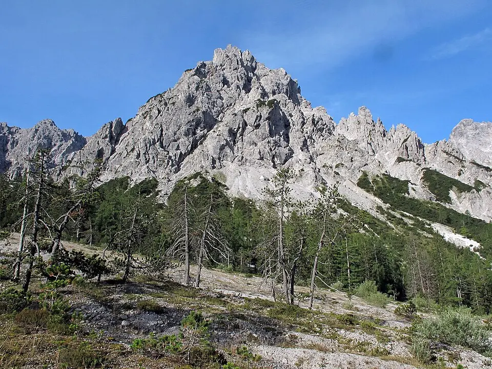 Slika: Kogo · CC BY-SA 3.0 DE Kleines Palfenhorn