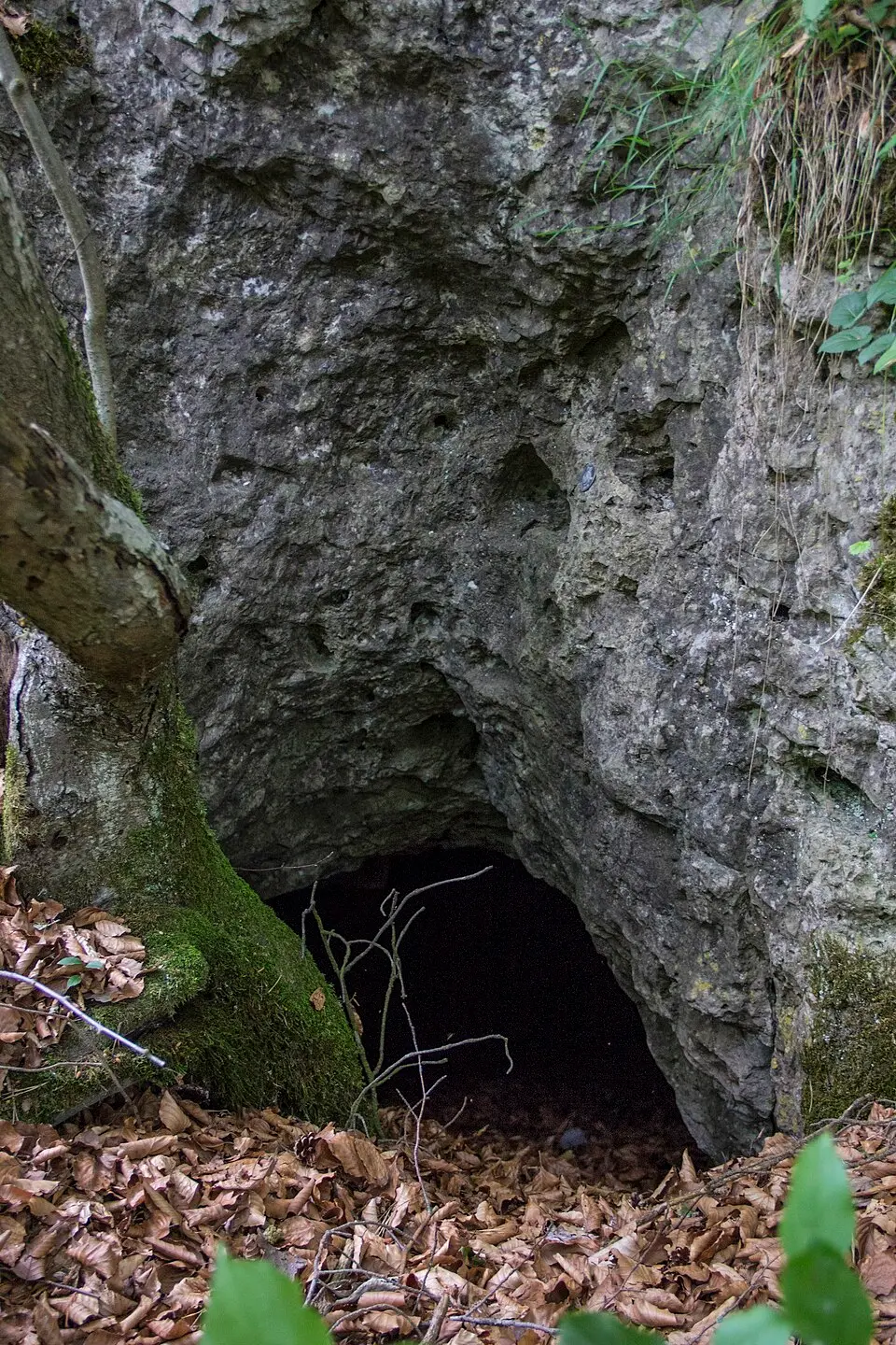 Slika: Derzno · CC BY-SA 3.0 Kleines Rohenloch