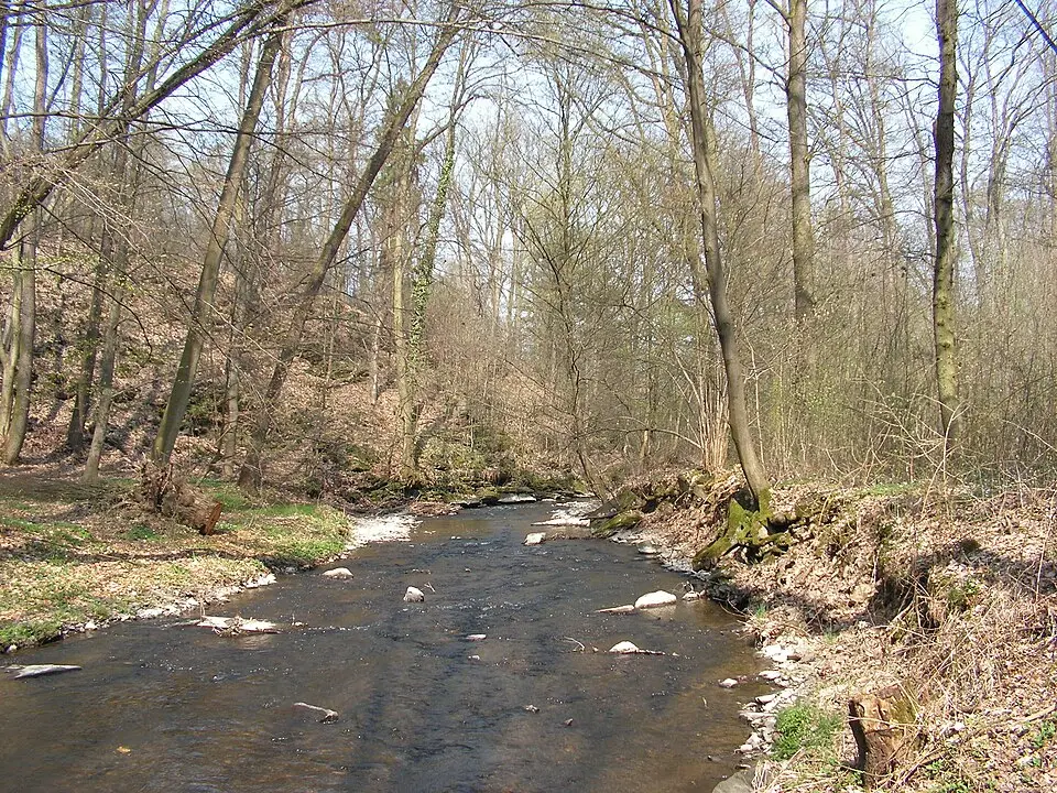 Klejnárka