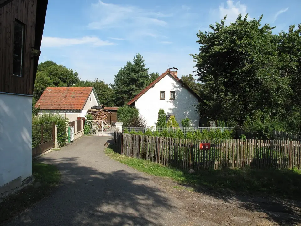 Klenové