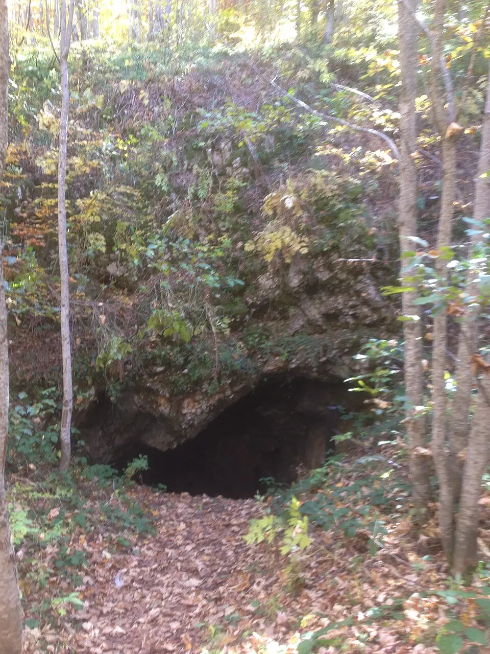 Klokočevica