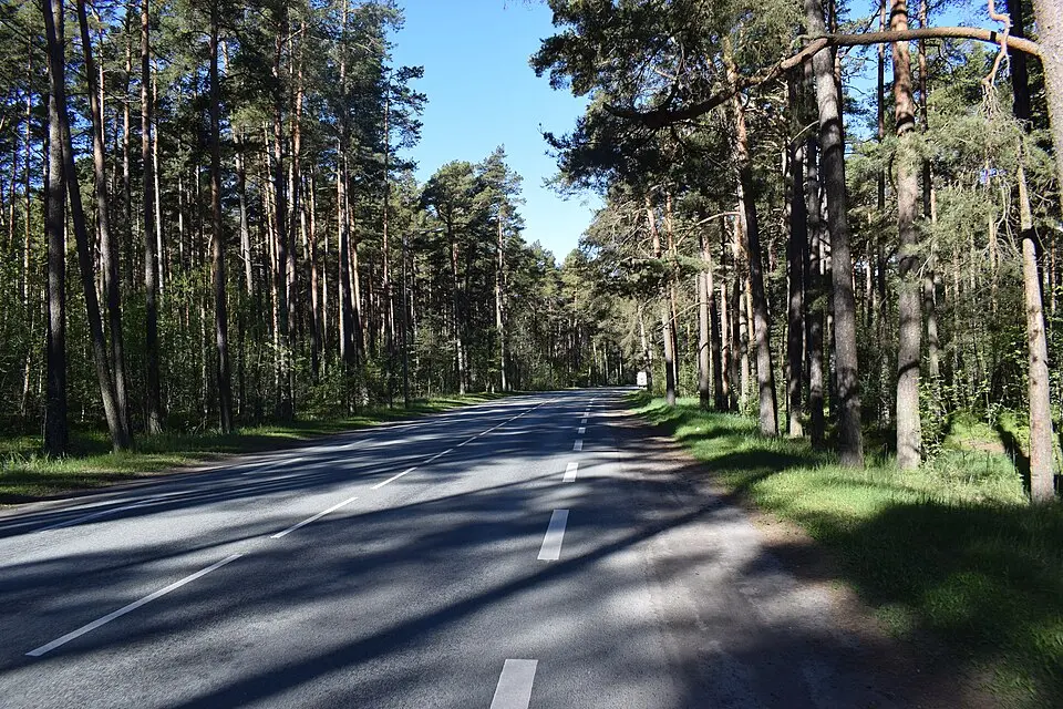 Kloostrimetsa