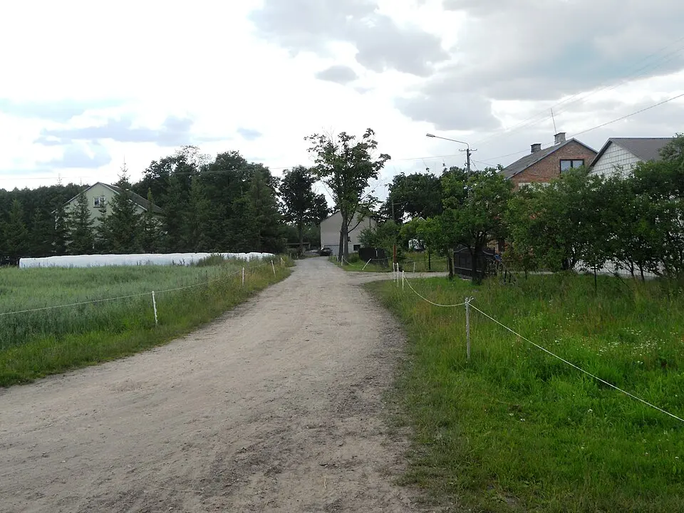 Kluki