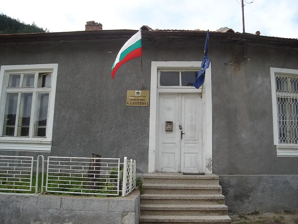 Калотина