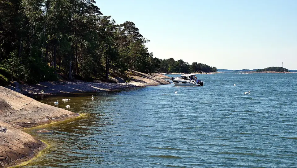 Knapperskär