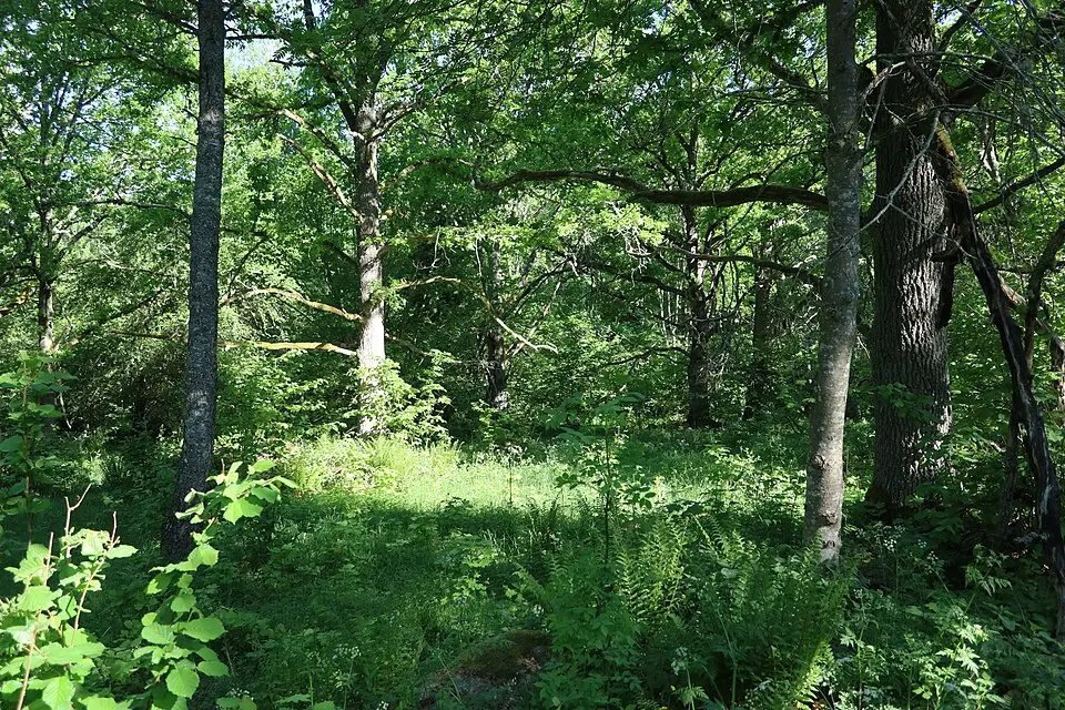 Knästorp