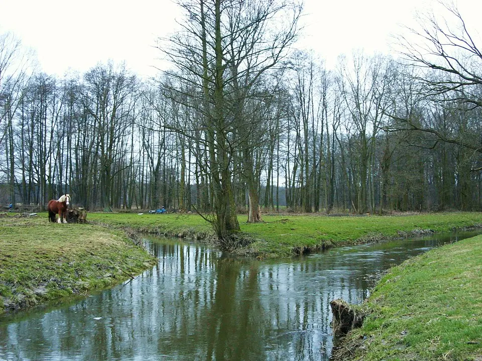 Klosterwasser