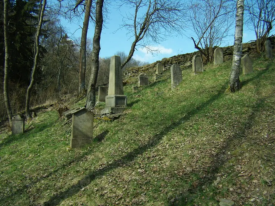 Kořen