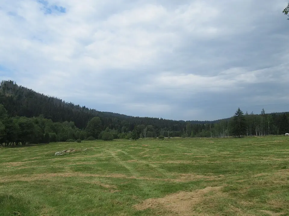 Kořenný