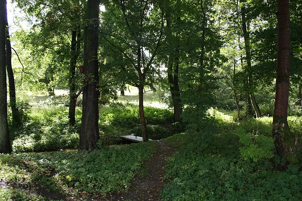 Park pałacowy