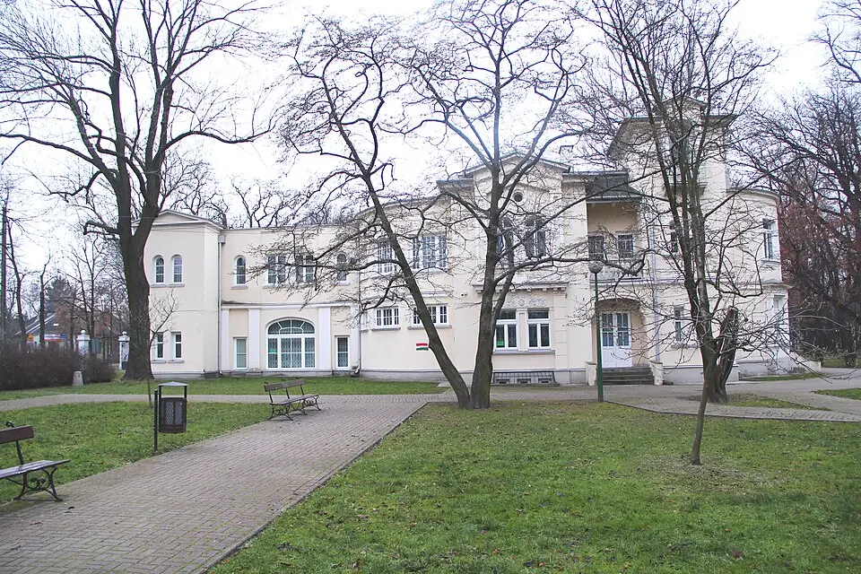 Pałac Koelichenów (Mostowskich)