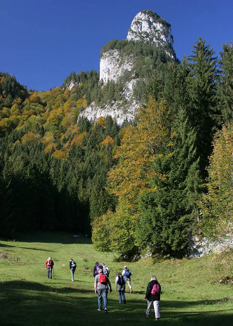 Kofel