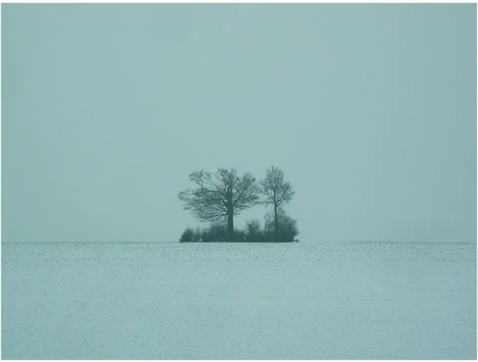 Image: Acp · Public domain Kogelbaum