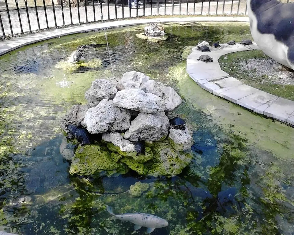parc de la préhistoire de Rivolta d'Adda
