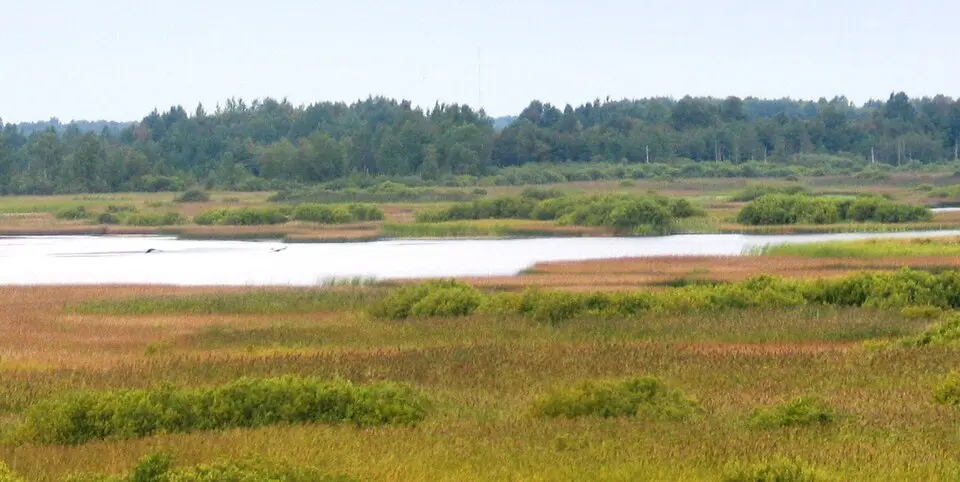 Koigi järv