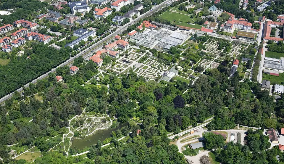 jardin botanique de Munich