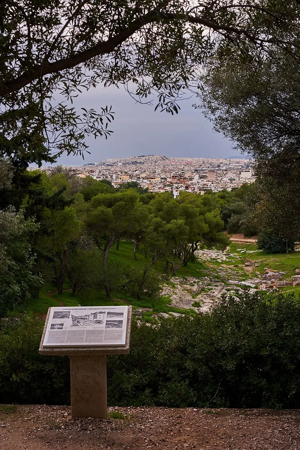 Κοίλη Ιπποθοωντίδας