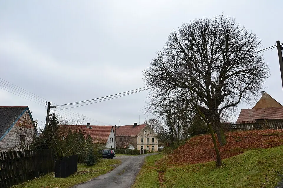 Kolešov (Pšov)