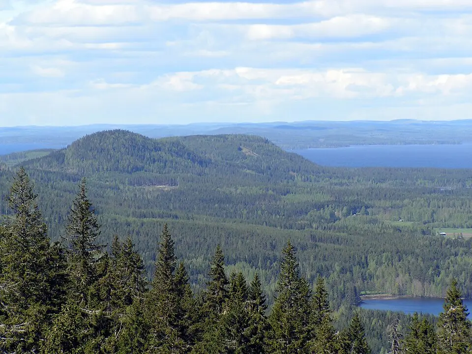 Kolin kansallispuisto