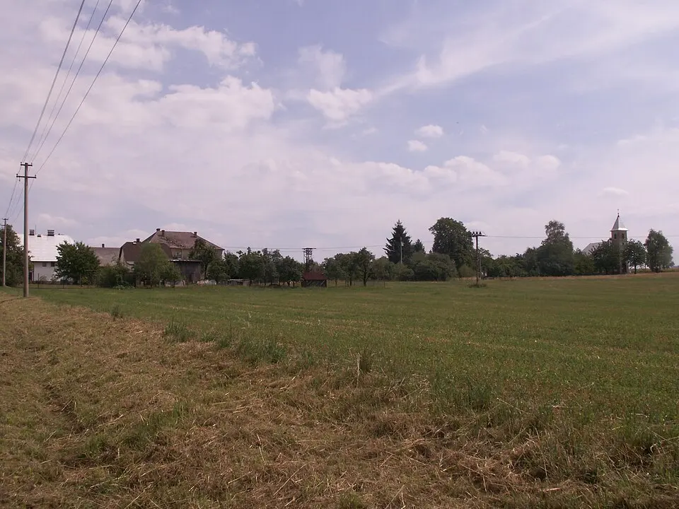 Kolnovice