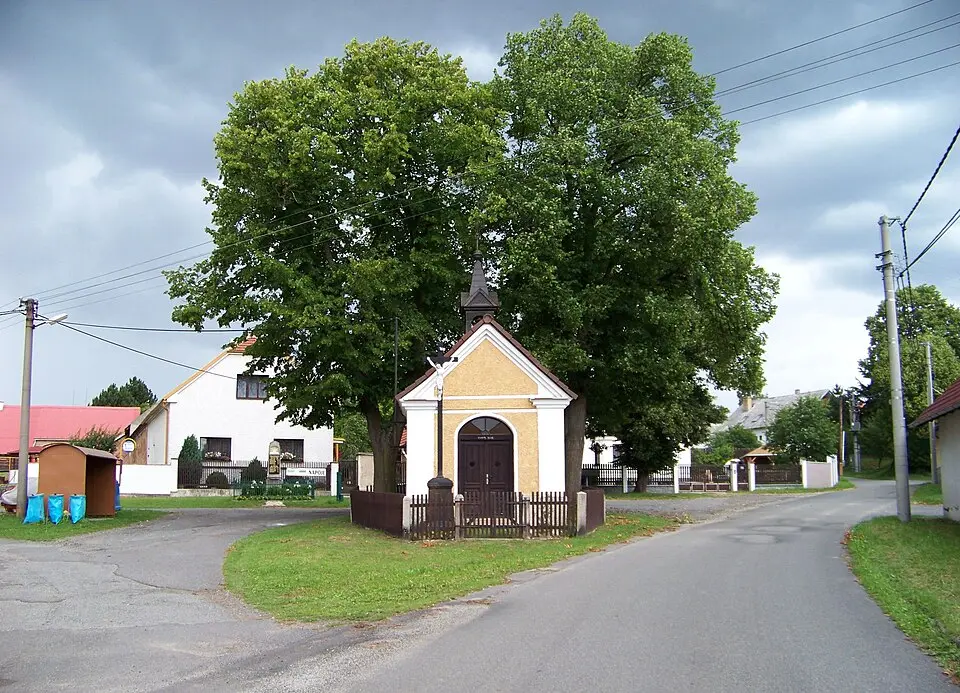 Konětopy