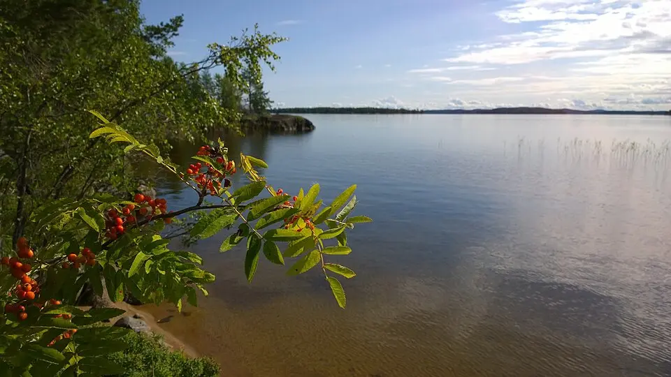 lac Konnevesi