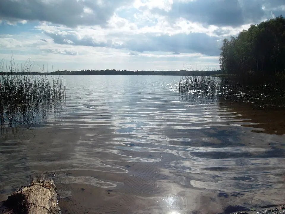 Konsu järv