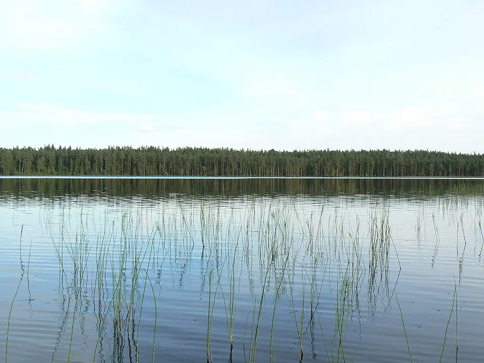 Lake Suur-Apja