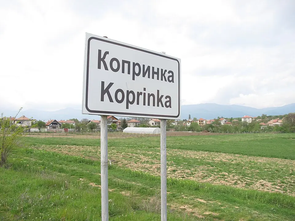 Копринка