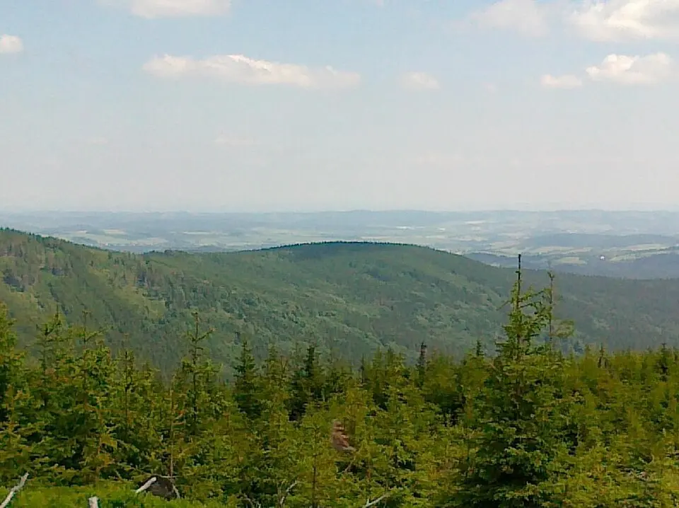 Kopřivná