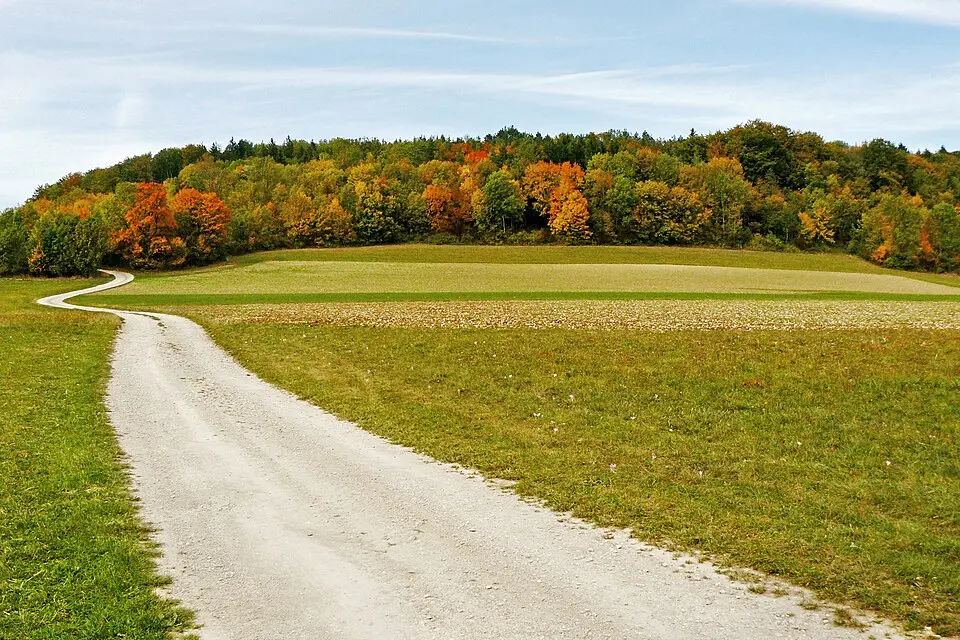 Kornberg