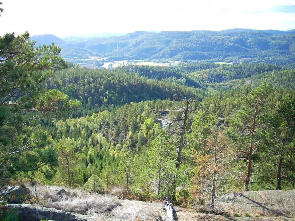 Korpen naturreservat